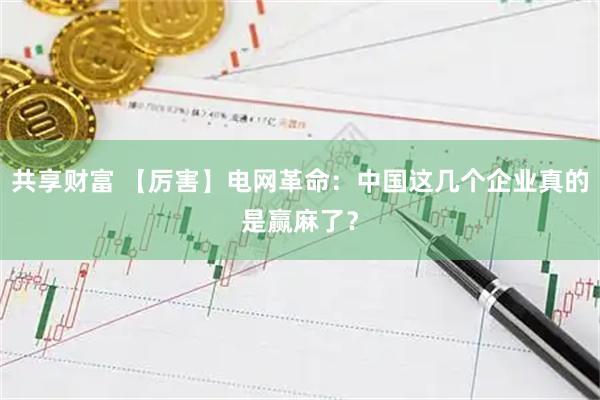 共享财富 【厉害】电网革命：中国这几个企业真的是赢麻了？