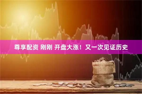 尊享配资 刚刚 开盘大涨！又一次见证历史