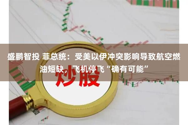 盛鹏智投 菲总统：受美以伊冲突影响导致航空燃油短缺，飞机停飞“确有可能”