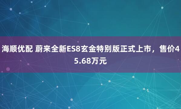 海顺优配 蔚来全新ES8玄金特别版正式上市，售价45.68万元