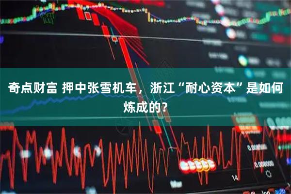 奇点财富 押中张雪机车，浙江“耐心资本”是如何炼成的？