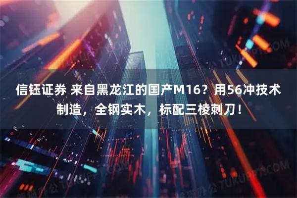 信钰证券 来自黑龙江的国产M16？用56冲技术制造，全钢实木，标配三棱刺刀！