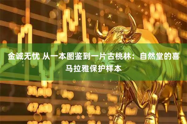 金诚无忧 从一本图鉴到一片古桃林：自然堂的喜马拉雅保护样本